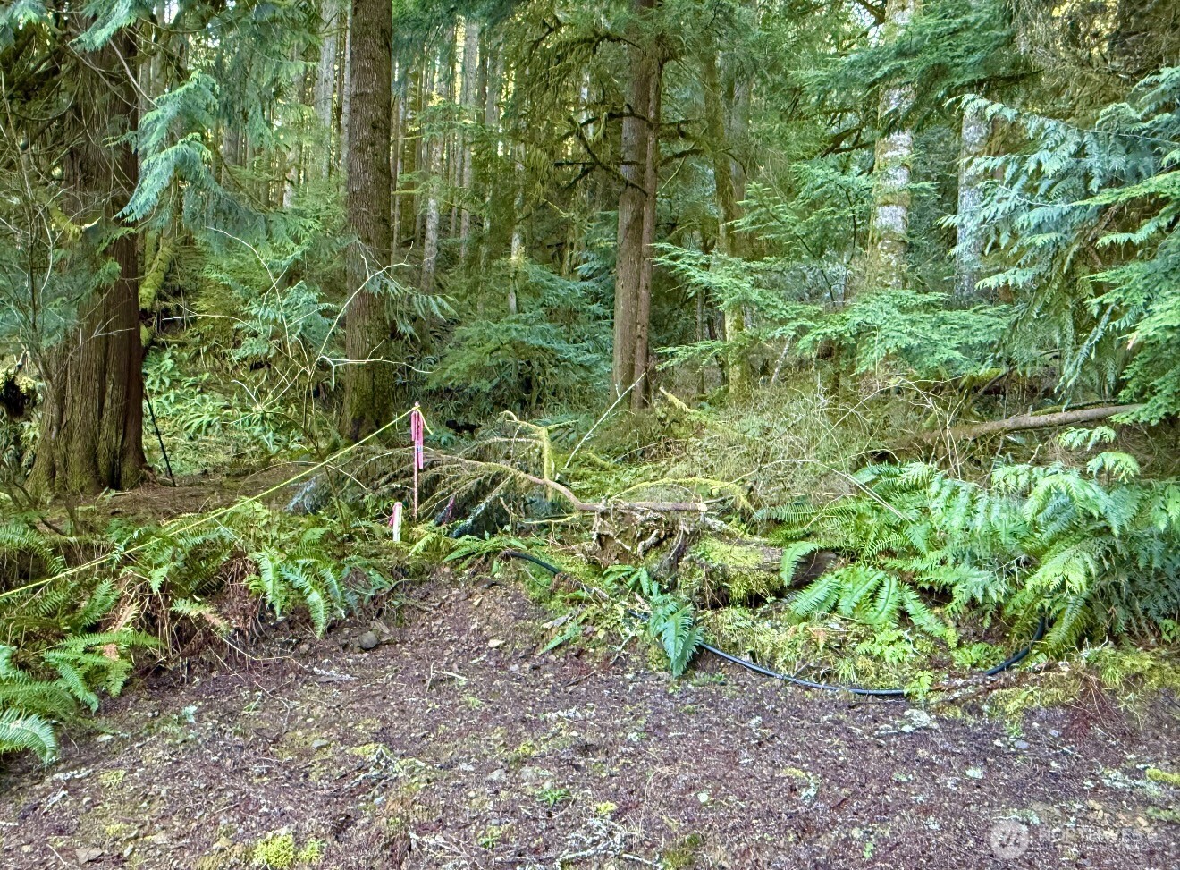 34750 S Shore Drive Mount Vernon WA 98274