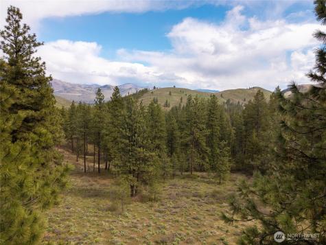 0 Whitebark Lane Winthrop WA 98862