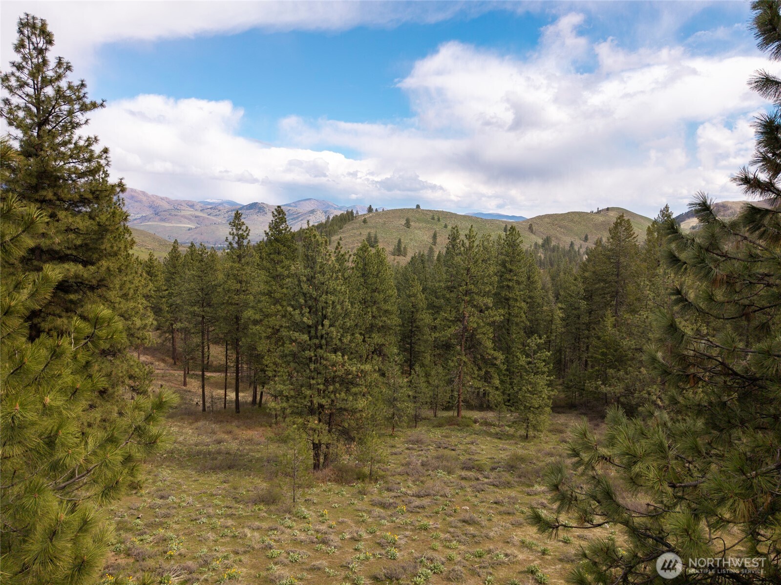 0 Whitebark Lane Winthrop WA 98862