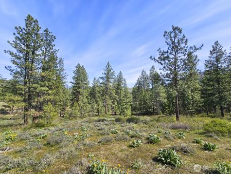 0 Whitebark Lane Winthrop WA 98862