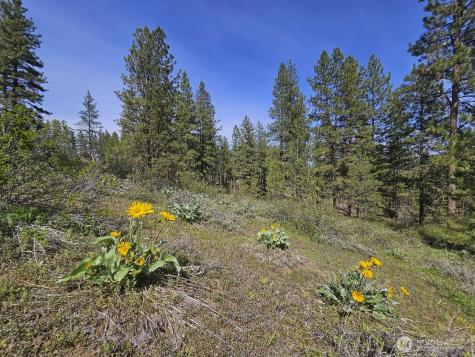 0 Whitebark Lane Winthrop WA 98862