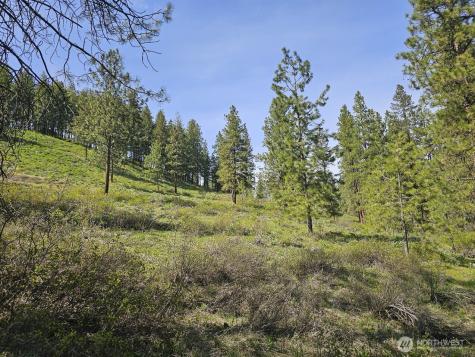 0 Whitebark Lane Winthrop WA 98862