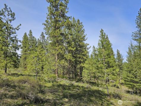 0 Whitebark Lane Winthrop WA 98862