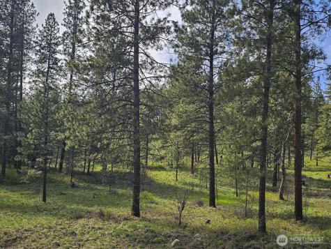 0 Whitebark Lane Winthrop WA 98862
