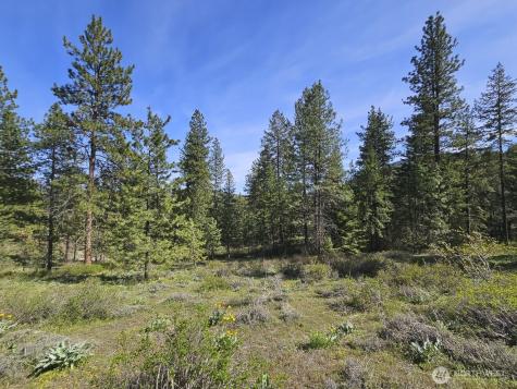 0 Whitebark Lane Winthrop WA 98862