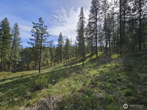 0 Whitebark Lane Winthrop WA 98862