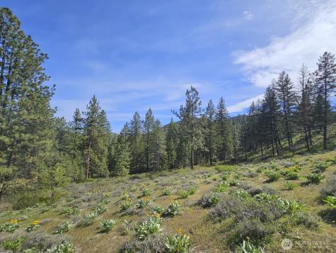 0 Whitebark Lane Winthrop WA 98862