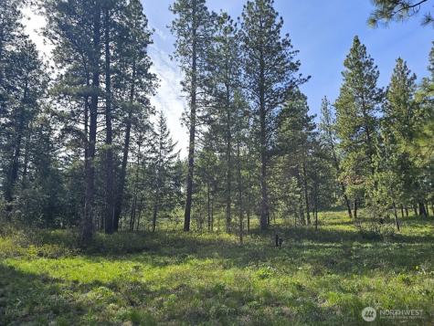 0 Whitebark Lane Winthrop WA 98862