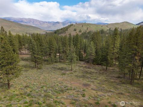 0 Whitebark Lane Winthrop WA 98862