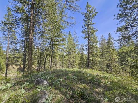 0 Whitebark Lane Winthrop WA 98862