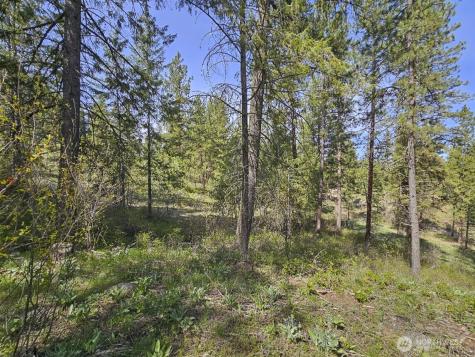 0 Whitebark Lane Winthrop WA 98862