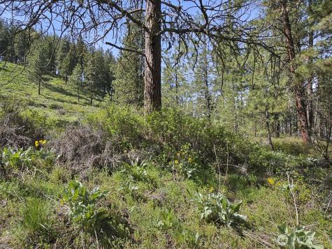 0 Whitebark Lane Winthrop WA 98862