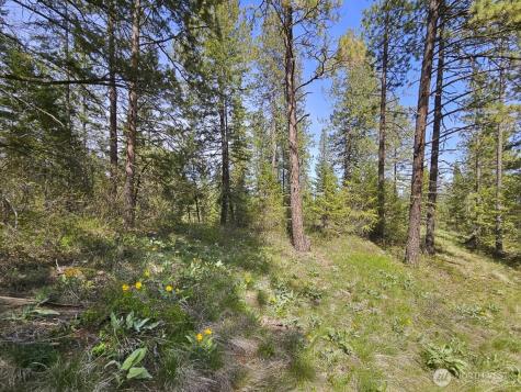 0 Whitebark Lane Winthrop WA 98862