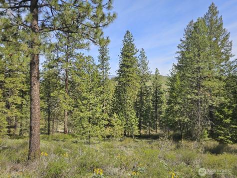 0 Whitebark Lane Winthrop WA 98862
