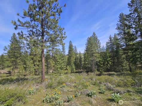0 Whitebark Lane Winthrop WA 98862