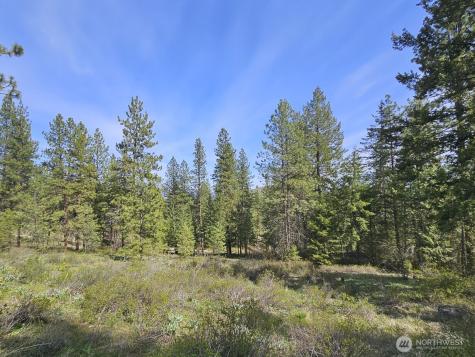 0 Whitebark Lane Winthrop WA 98862