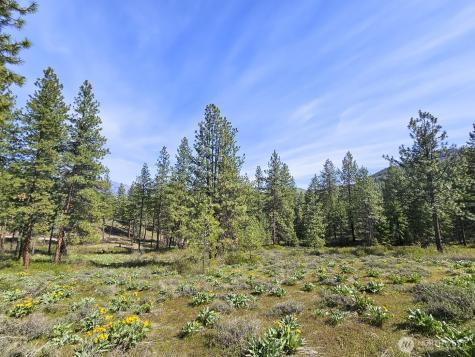 0 Whitebark Lane Winthrop WA 98862