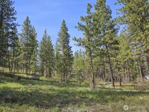 0 Whitebark Lane Winthrop WA 98862