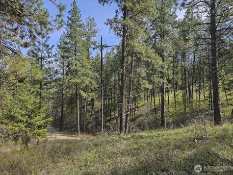0 Whitebark Lane Winthrop WA 98862