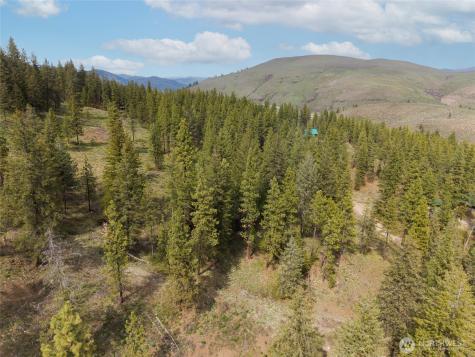 0 Whitebark Lane Winthrop WA 98862