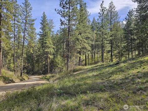 0 Whitebark Lane Winthrop WA 98862