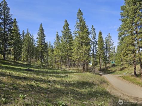 0 Whitebark Lane Winthrop WA 98862