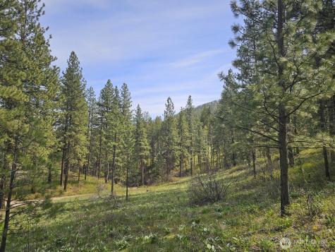 0 Whitebark Lane Winthrop WA 98862