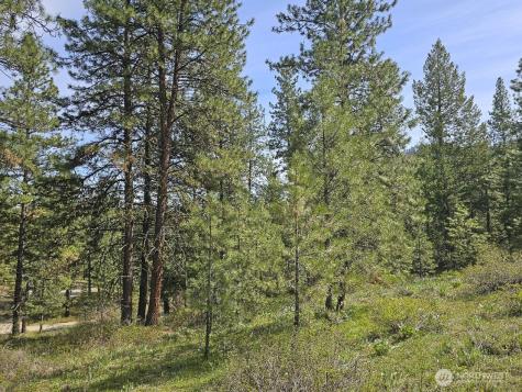 0 Whitebark Lane Winthrop WA 98862