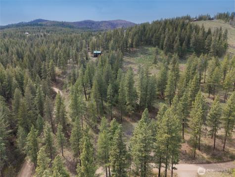 0 Whitebark Lane Winthrop WA 98862