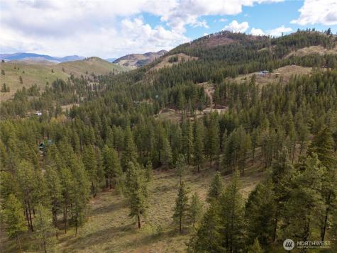 0 Whitebark Lane Winthrop WA 98862