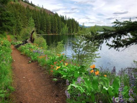 0 Whitebark Lane Winthrop WA 98862