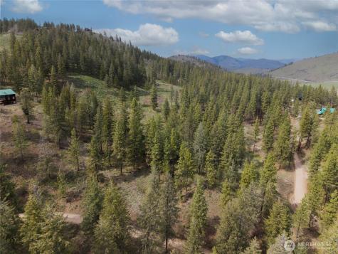 0 Whitebark Lane Winthrop WA 98862