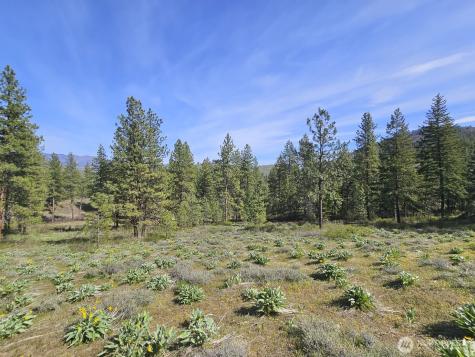 0 Whitebark Lane Winthrop WA 98862