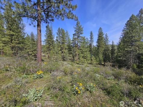 0 Whitebark Lane Winthrop WA 98862