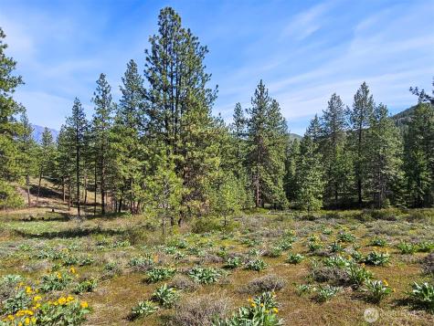 0 Whitebark Lane Winthrop WA 98862