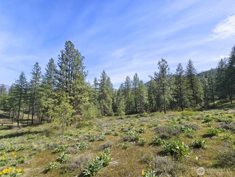0 Whitebark Lane Winthrop WA 98862