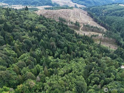 0 Mount Pleasant Road Kelso WA 98626
