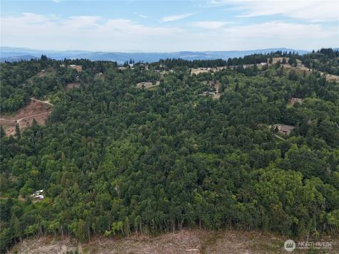 0 Mount Pleasant Road Kelso WA 98626