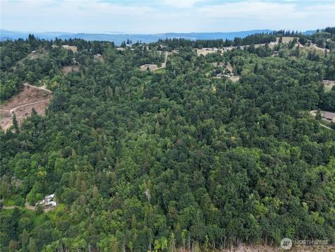 0 Mount Pleasant Road Kelso WA 98626