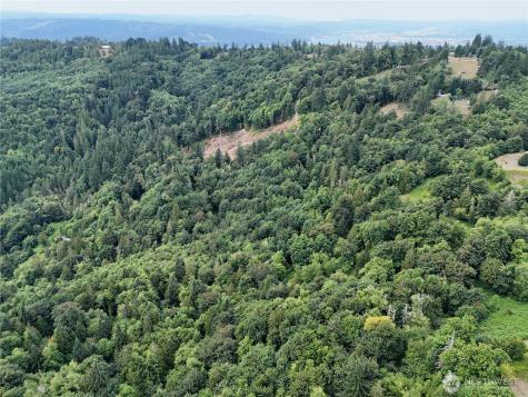 0 Mount Pleasant Road Kelso WA 98626