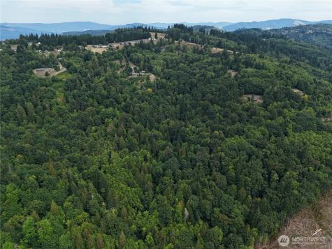 0 Mount Pleasant Road Kelso WA 98626
