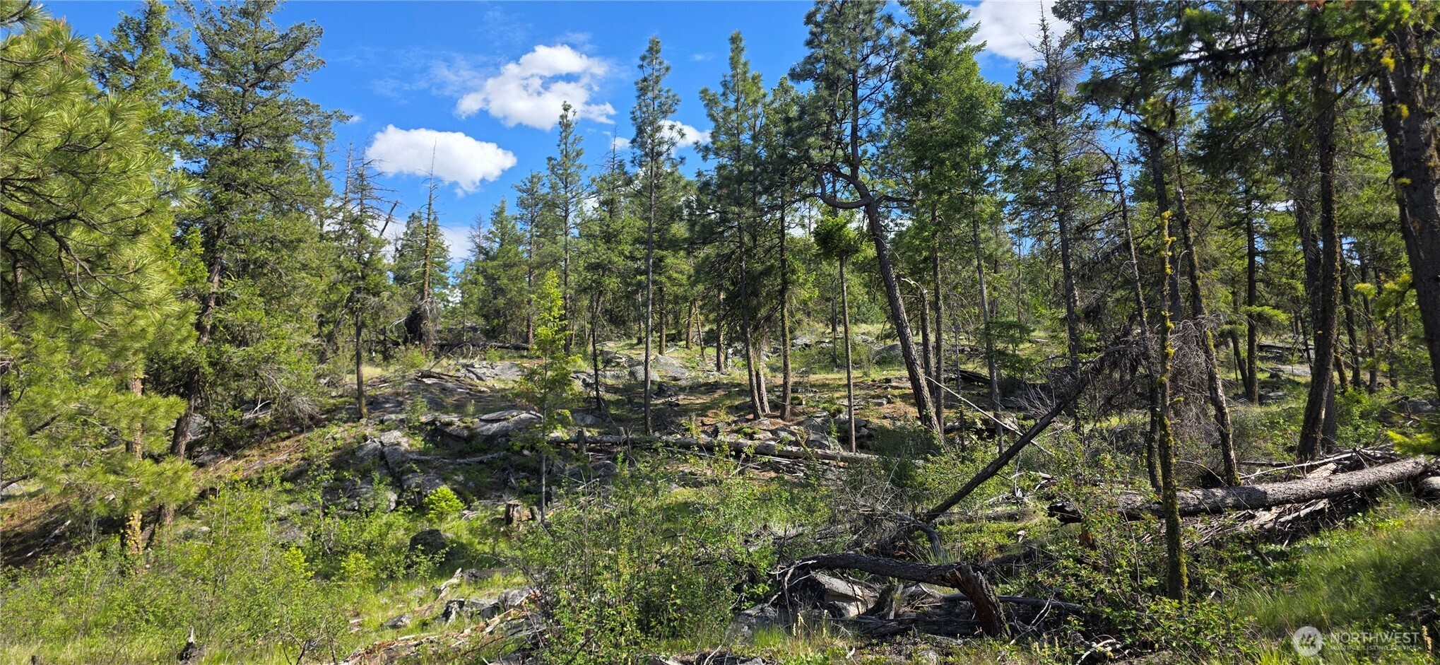 385 Corral Oroville WA 98844