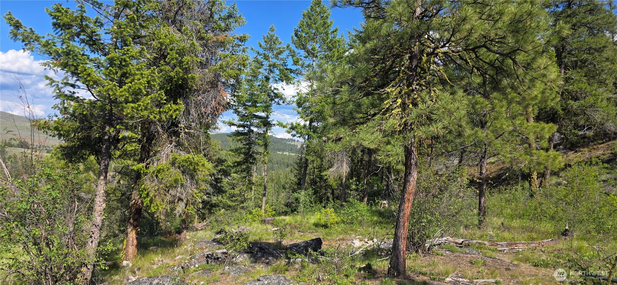 385 Corral Oroville WA 98844