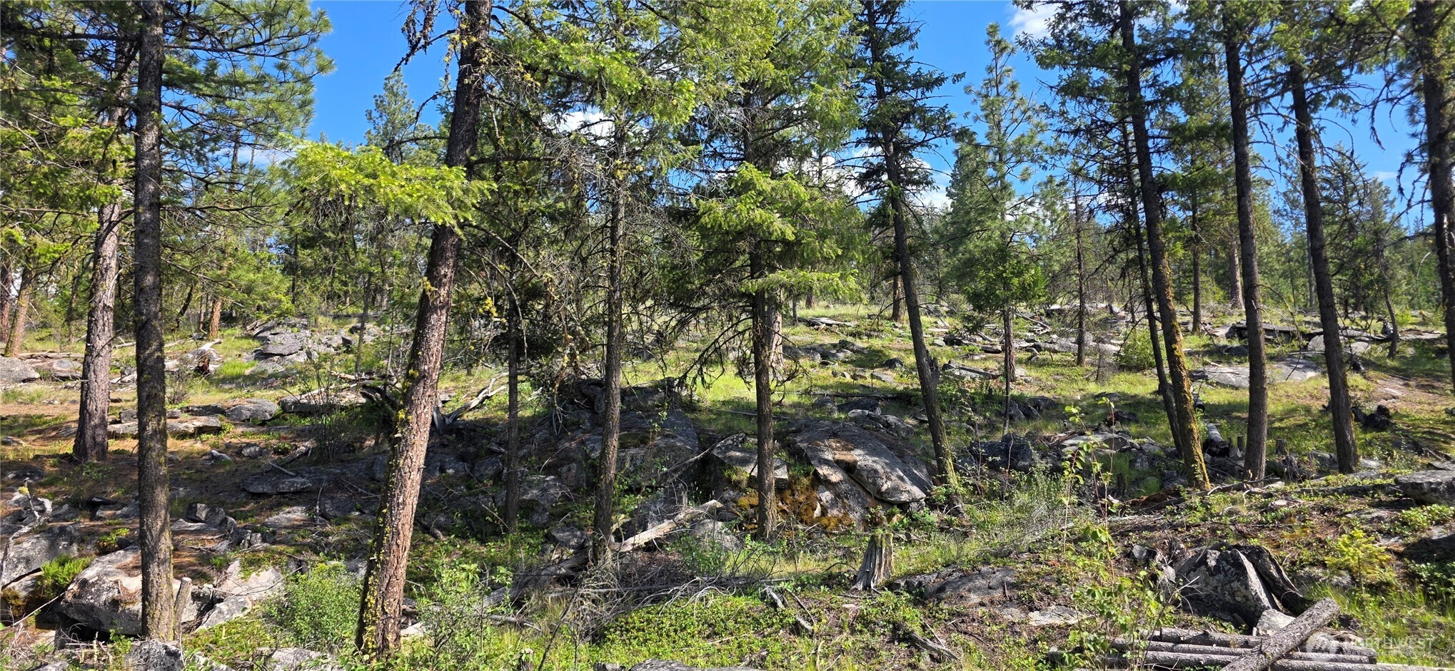385 Corral Oroville WA 98844