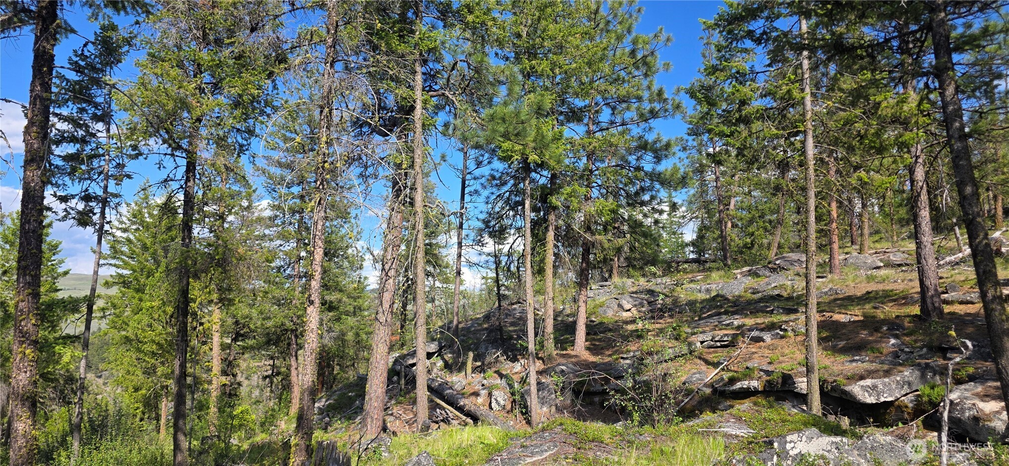 385 Corral Oroville WA 98844