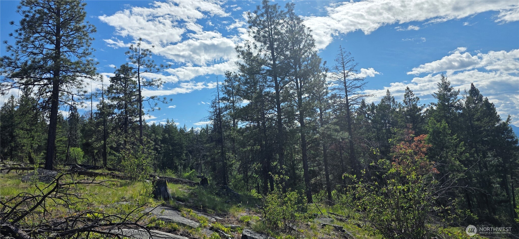 385 Corral Oroville WA 98844