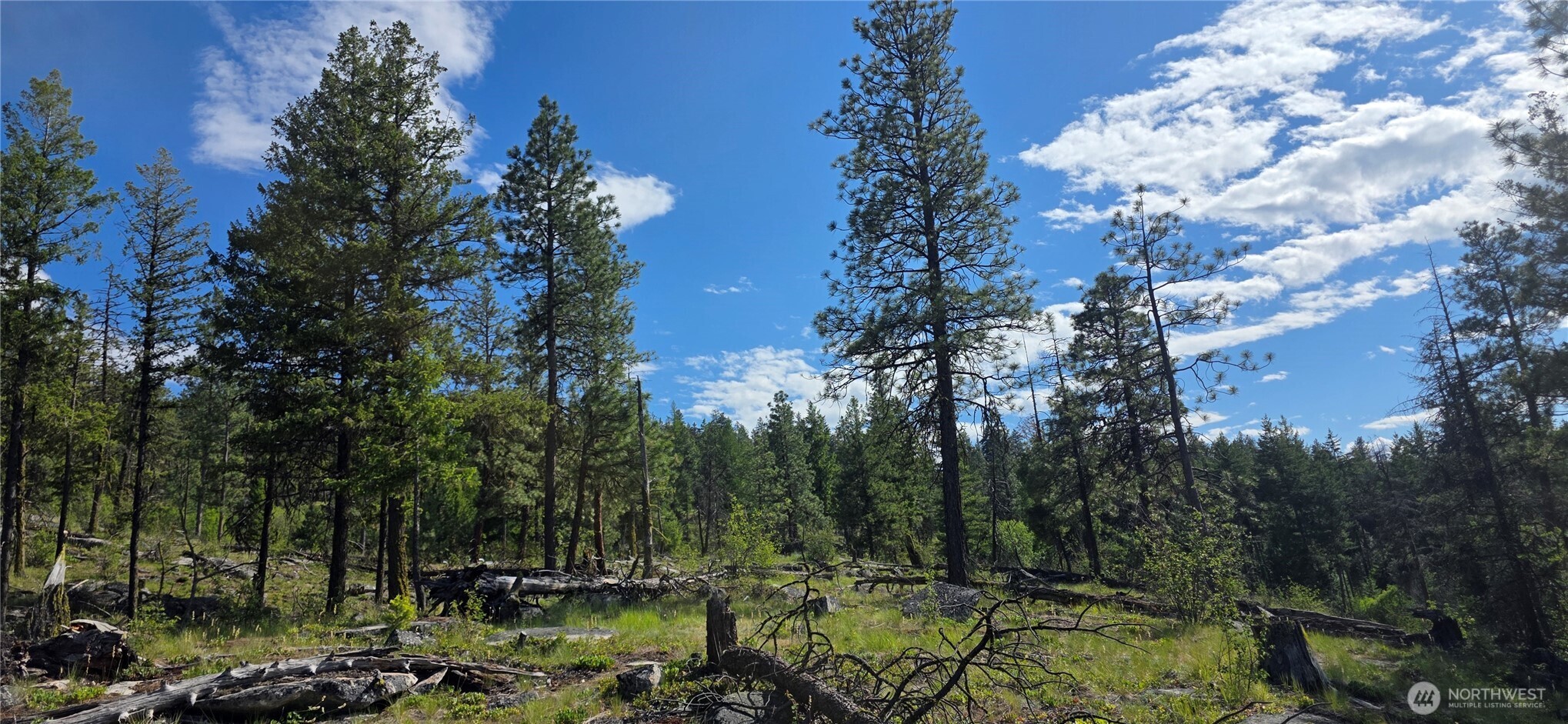385 Corral Oroville WA 98844