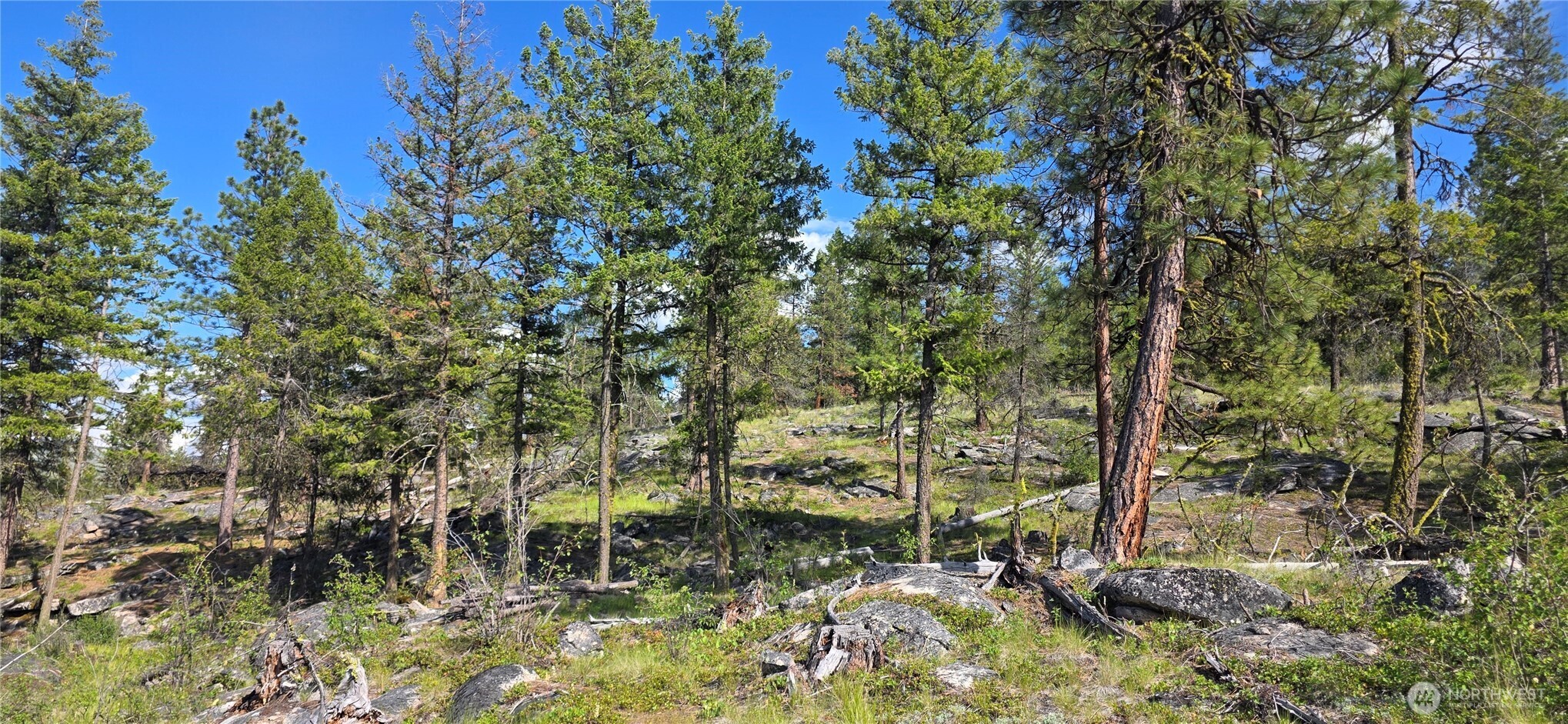 385 Corral Oroville WA 98844