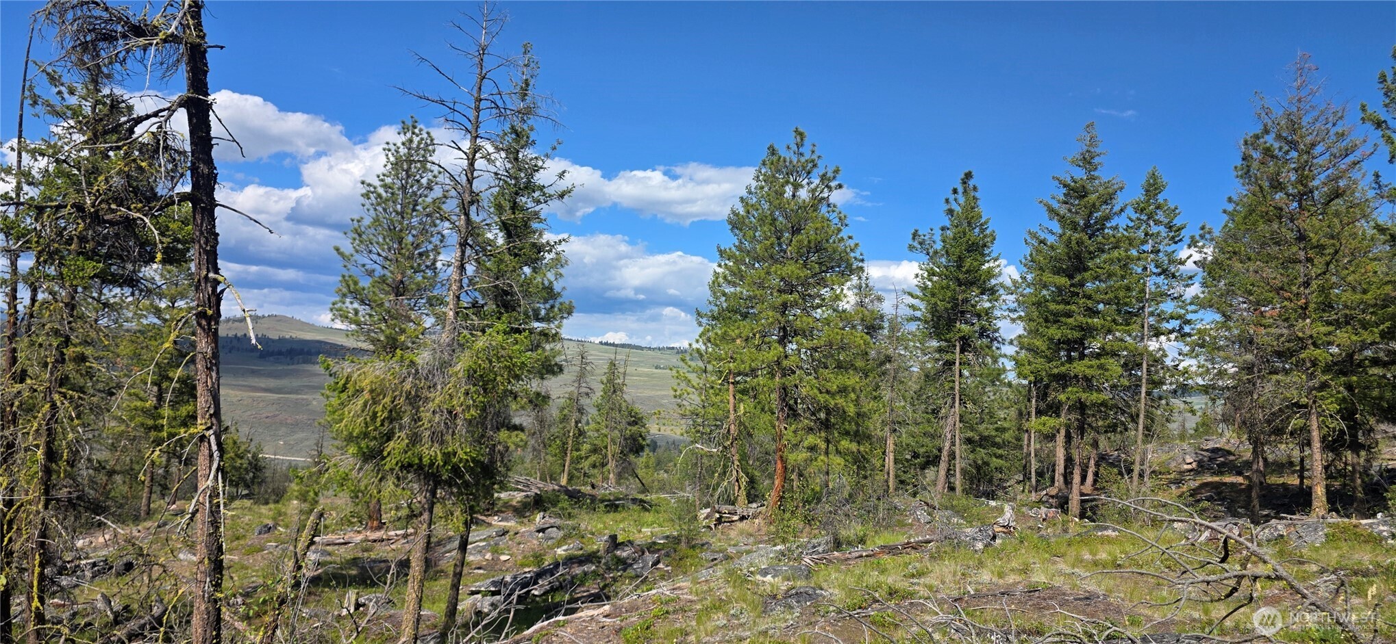 385 Corral Oroville WA 98844