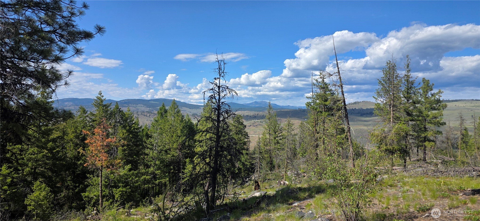 385 Corral Oroville WA 98844